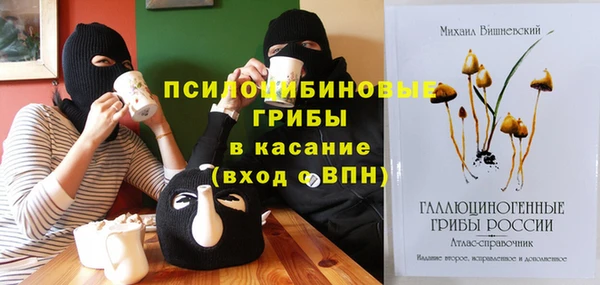 а пвп мука Дмитриев