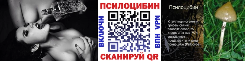 Псилоцибиновые грибы GOLDEN TEACHER  Дорогобуж 